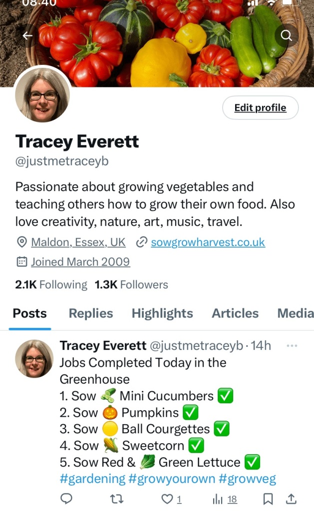 Twitter X Tracey Everett profile